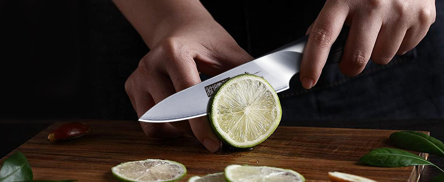 Набір кухонних ножів HOSHANHO 6 шт. з магнітним тримачем, професійний з вуглецевої сталі, ергономічні ручки