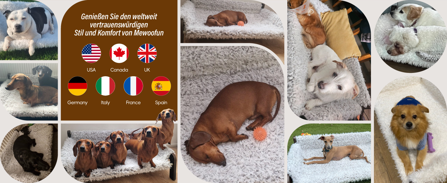 MEWOOFUN Dog Sofa Dog Bed Elevated - Dog Beds for Small and Medium Dogs with Non-Slip Bottom, Breathable Puppy Bed with Removable Cushion, Cat Sofa 61 x 53 x 28 cm, Brown