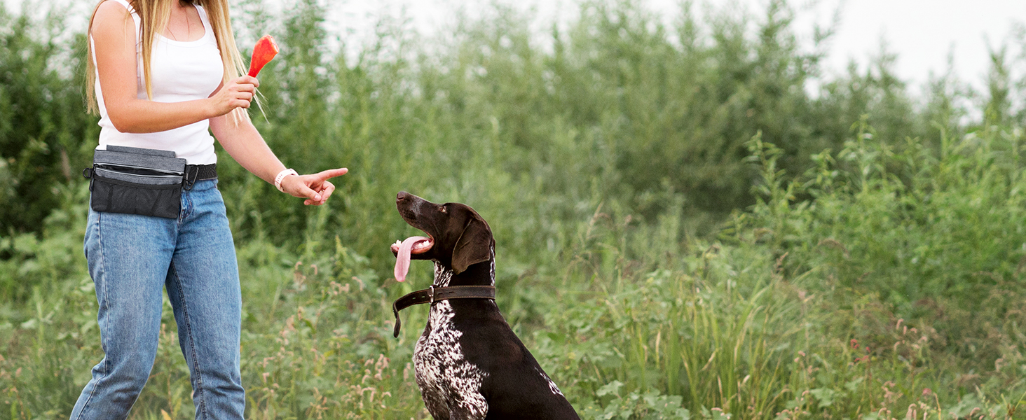 Сумка для ласощів для собак Brifit з магнітною застібкою, для тренувань, з регульованим шнурком, знімною внутрішньою кишенькою та дозатором для пакетів, 4 x 22 x 27 см