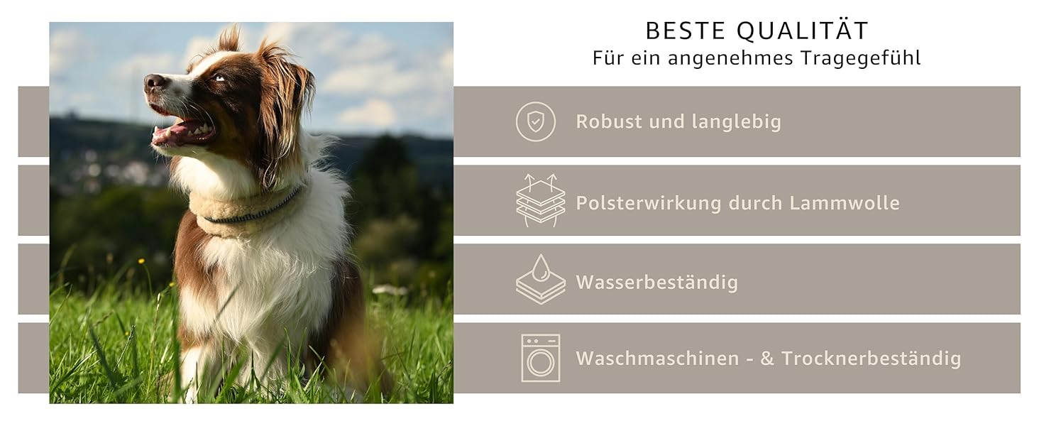 Інноваційний нашийник для собак Chris з ланолінової вовни, зменшує випадіння шерсті, з підкладкою, світловідбиваючий, регульований, для собак малого, середнього та великого розміру. Розміри: M (35-45 см), L (45-55 см), XL (55-65 см). Колір: кремовий