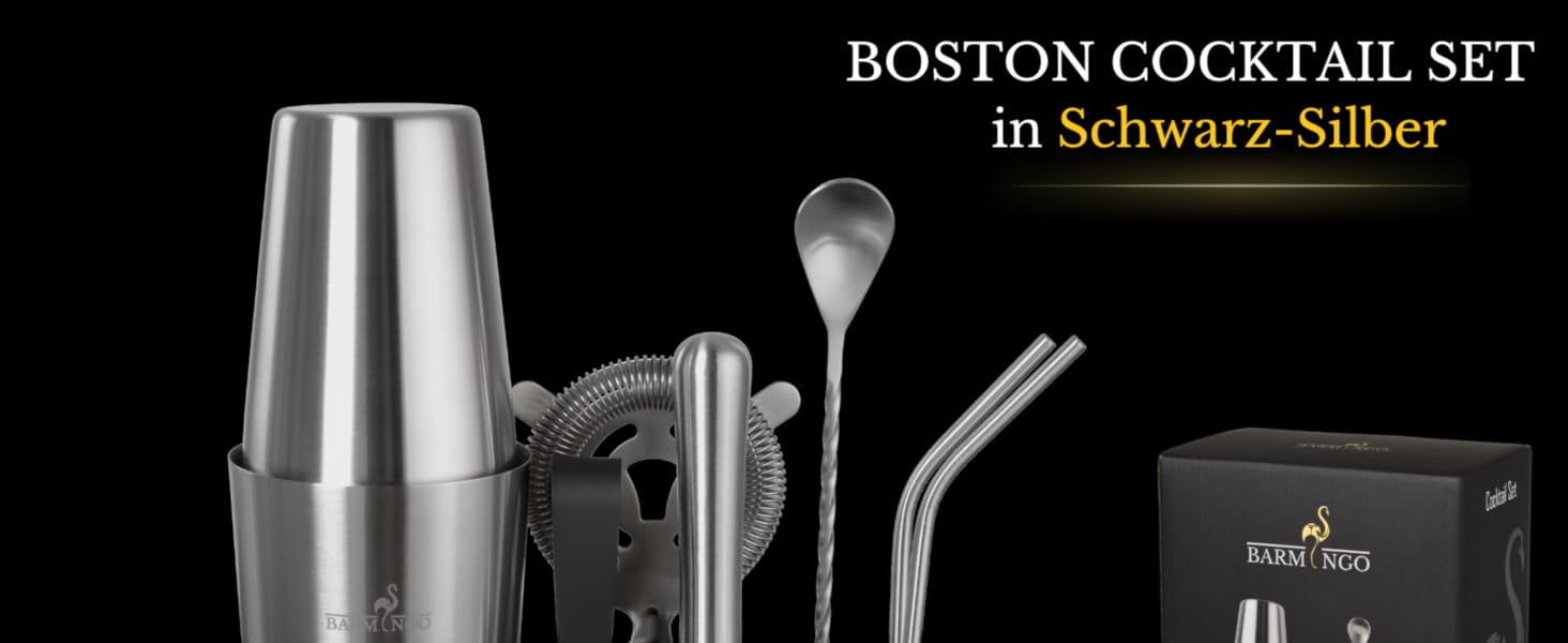 BARMINGO Stainless Steel Cocktail Set - 11 Piece Boston Shaker Set with Stand & Bar Accessories | Cocktail Shaker Set, Bartender Set, Bar Set | Black Silver