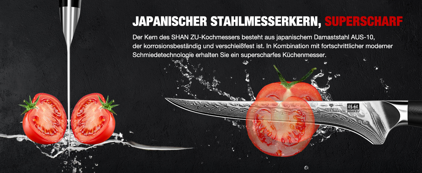 Ніж кухарський SHAN ZU 67 шарів Дамаск, PRO Series з ручкою G10, ніж для філетування
