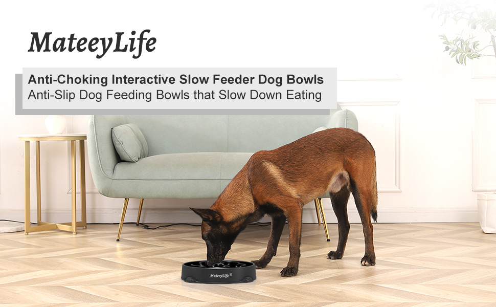 Набори мисок для собак MateeyLife 2 шт. - Anti-слиз, Slow Feeder, для великих та середніх собак, синього кольору