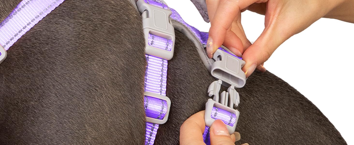 Шлейка для собак Huntboo, безпечна та надійна, з відбиваючими елементами та м'якою ручкою, регульована жилетка для маленьких собак, для прогулянок та тренувань (S, Лавандово-фіолетовий, упаковка з 1)