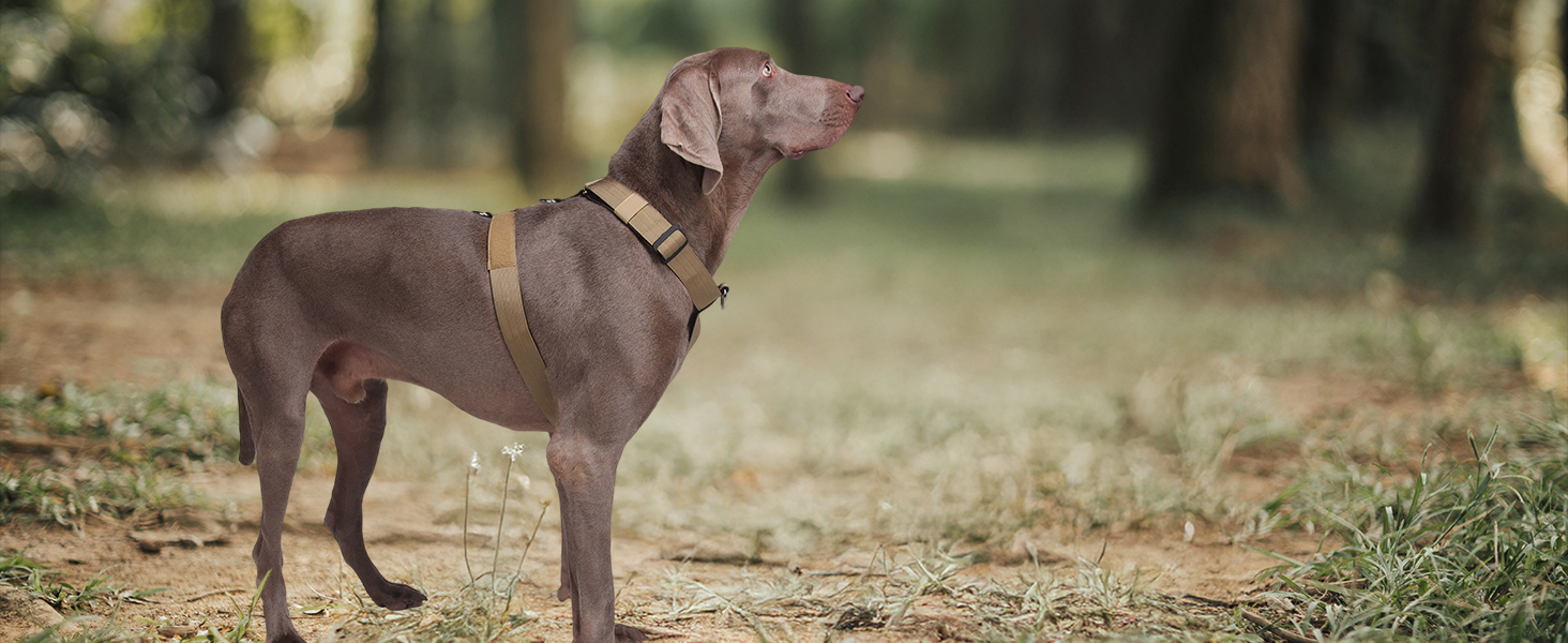 Шлейка для собак FEimaX для великих собак, тактична, не тягне, дихаюча, комфортна, сіра, міцна