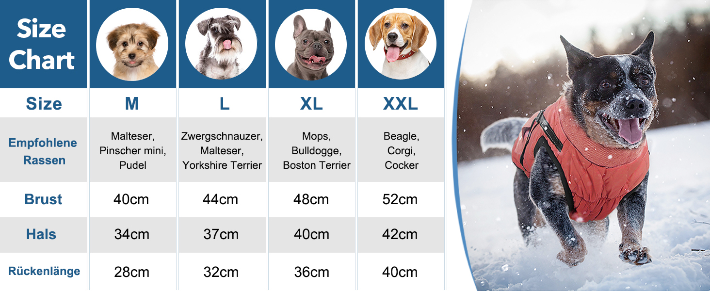 Dog Coat, Dog Jackets with Harness, Winter Warm Jacket Windproof Pet Clothing with Pocket Design Snowsuit Dog Jackets for Small Medium Dogs (Red, M)