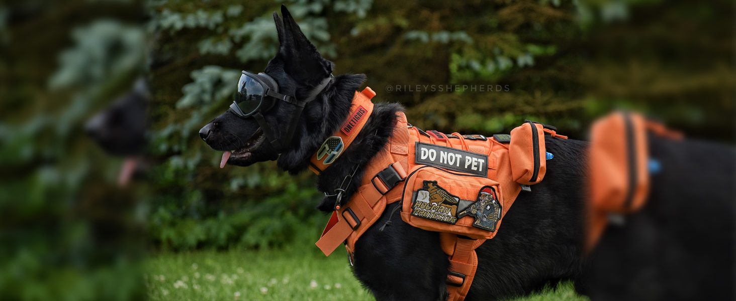 Тактичне обіднє оснащення для собак OneTigris Fire Watcher 2.0 з надійною металевою пряжкою, ручкою та MOLLE-системою, чорне