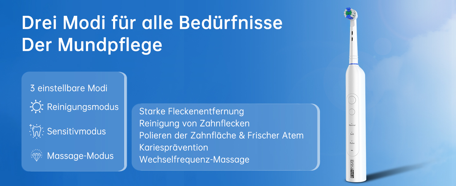 Електрична зубна щітка Rotierende для дорослих з 8 насадками, 3 режимами чищення, акумулятором на 50 днів та смарт-таймером 2 хв - Чорна