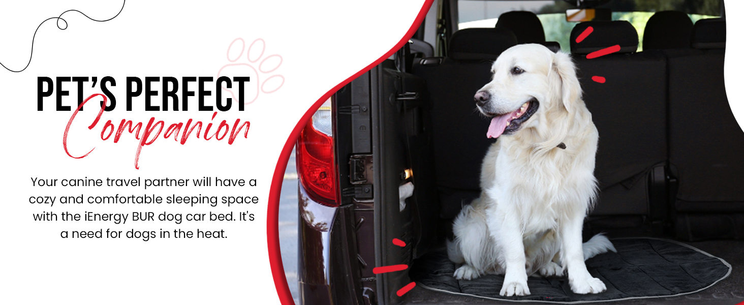 iEnergy™ BUR килимок для собак, лежанка для собак 110x80 см, універсальний розмір, для подорожей та відпочинку