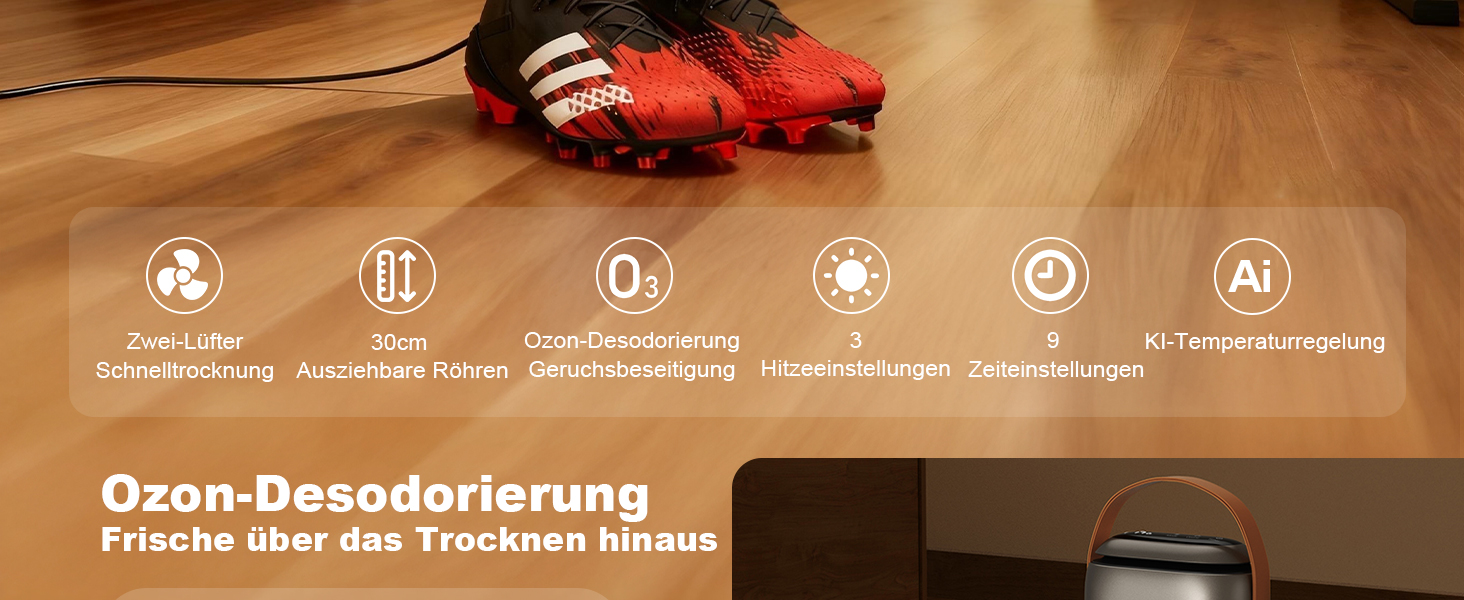 Сушарка для взуття SOTHING з озонуванням, 95W, цифрова, 3 режими, таймер, шланг 30 см для черевиків, лижних черевиків та рукавичок