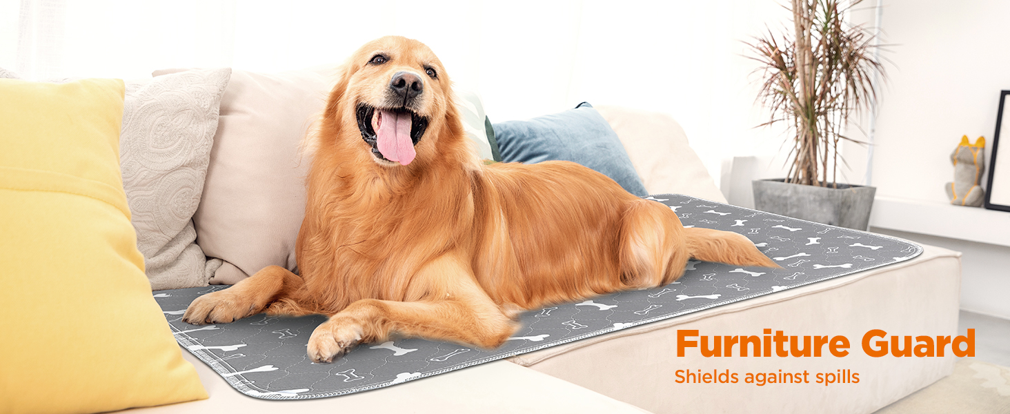 Підкладки для тварин Baodan, 2 шт. 90x60 см, швидко поглинаючі, для собак, котів, морських свинок