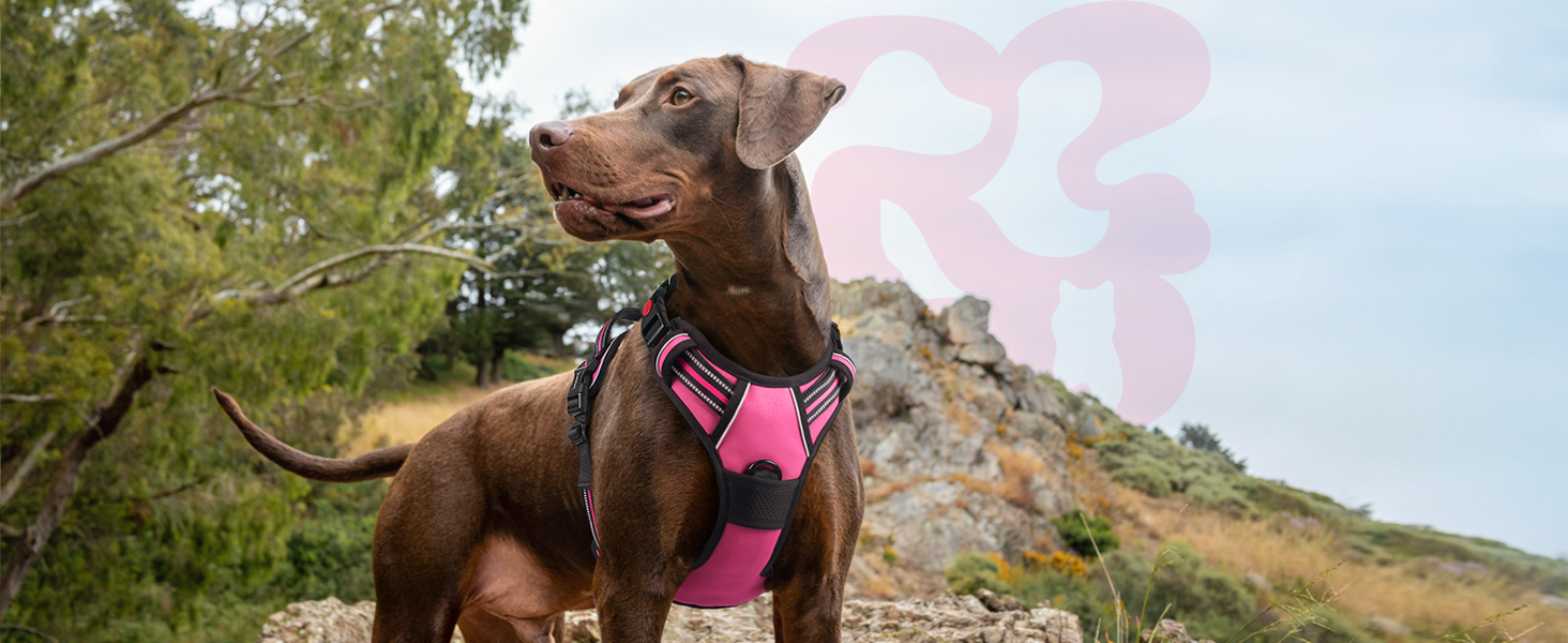Нашийник для собак Rabbitgoo, великі породи, регульований, без натягування, з ручкою, анти-тяга, м'яка підкладка, світловідбиваючий, розмір L (XL), рожевий