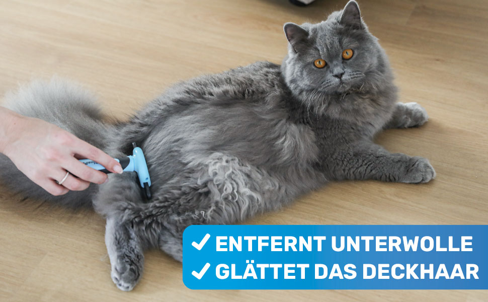 Буршлюк BluePet 2.0 для собак та котів з короткою шерстю: видаляє відмерле волосся та підшерсток. Ідеальна щітка для линьки (L 100mm, блакитний)