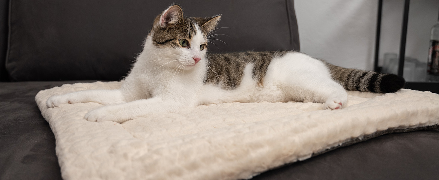 TrendPet Лежанка для собак і котів, двостороння, з підкладкою, 90x65 см, бежева