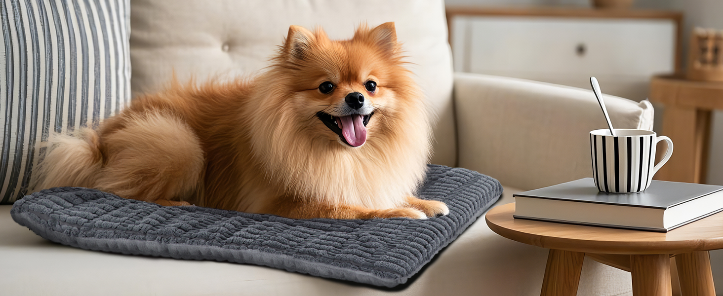 Лежанка для собак IEUUMLER, м'яка та тепла, з memory foam, 90x70 см (Сірий)