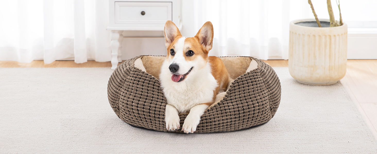 JOEJOY Dog Bed, Medium-Sized Dogs, Washable Dog Basket, Fluffy, Non-Slip Plush Dog Bed, 63x53x20cm, Dog Beds for Small and Medium Dogs and Cats