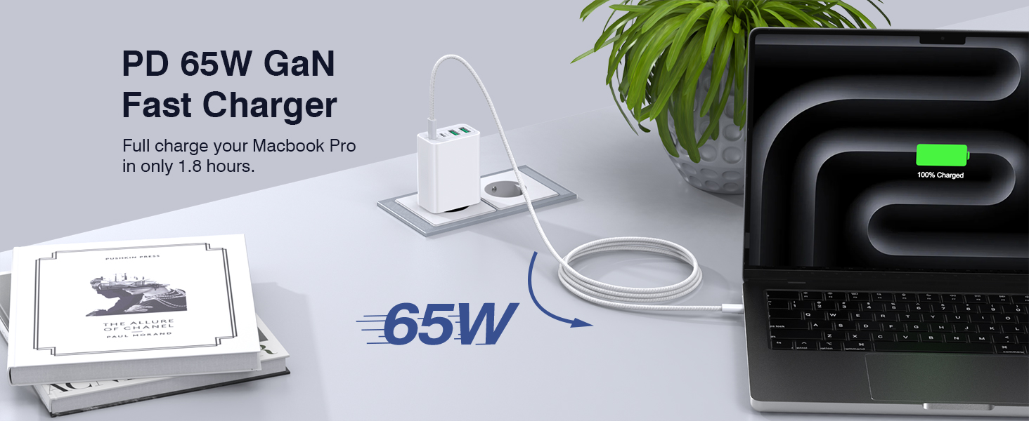 65W USB-C зарядний пристрій 3-портовий з кабелем 2м: для MacBook, iPhone, Switch, Galaxy, Tablet, Laptop