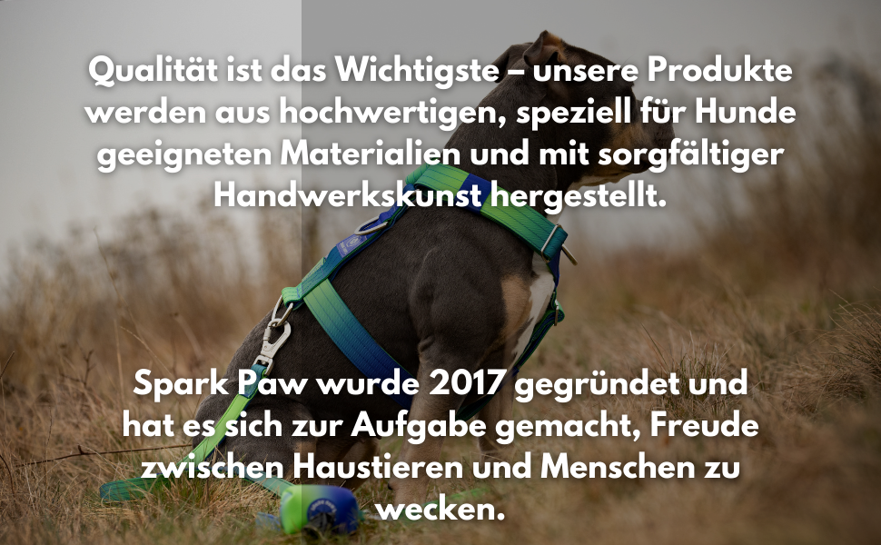 Шлейка для собак Spark Paws No Pull для великих порід, з переднім кріпленням, Y-подібна, міцна та надійна, Lime Wave, L (36-68 кг)