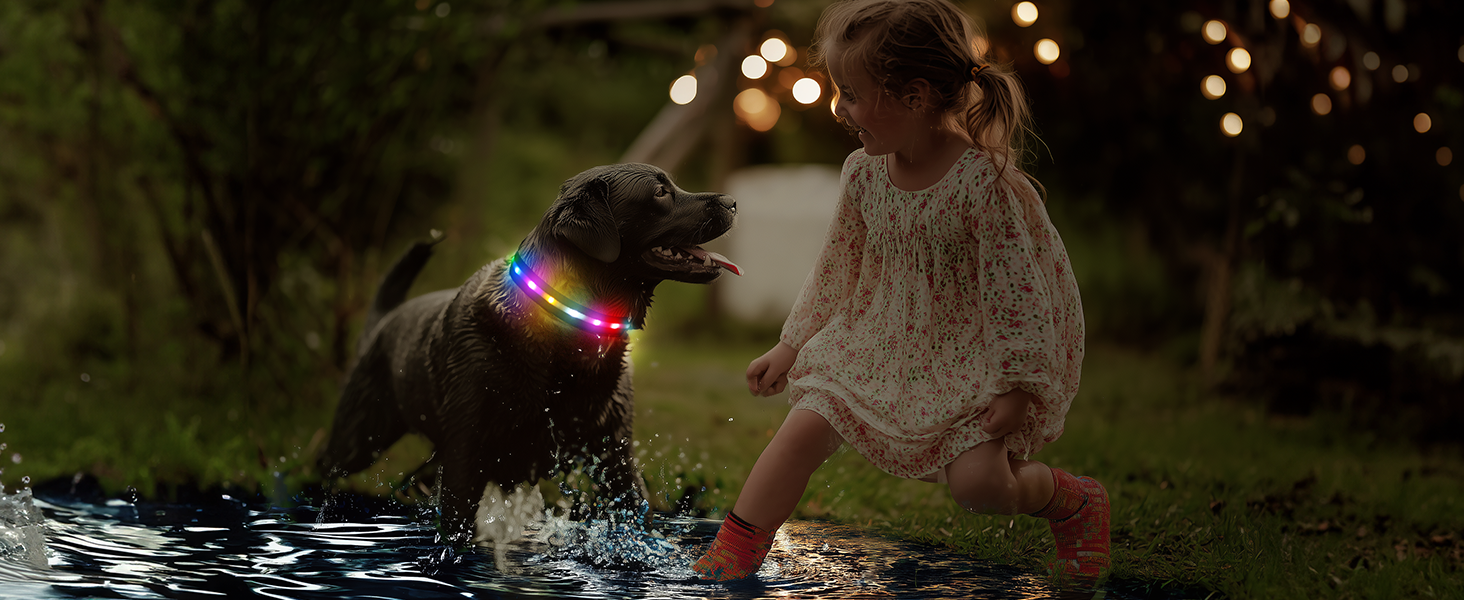 LED-нашийник для собак з підзарядкою USB, вологостійкий, регульований, 3 режими, для малих, середніх та великих собак (Чорний, L(48-60см))