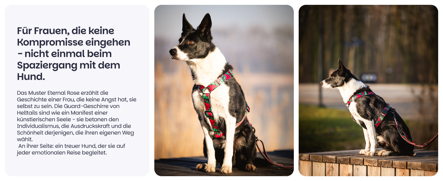 Шлейка для собак середніх порід Champagne Kiss M: регульована, не вбирає вологу, з контролем, легка