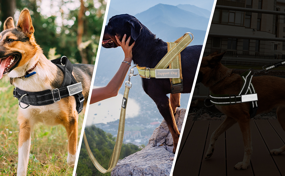 Нашийник для собак Eyein: м'який, з 2 застібками, світловідбиваючий, для великих та середніх собак, рожевий (L)