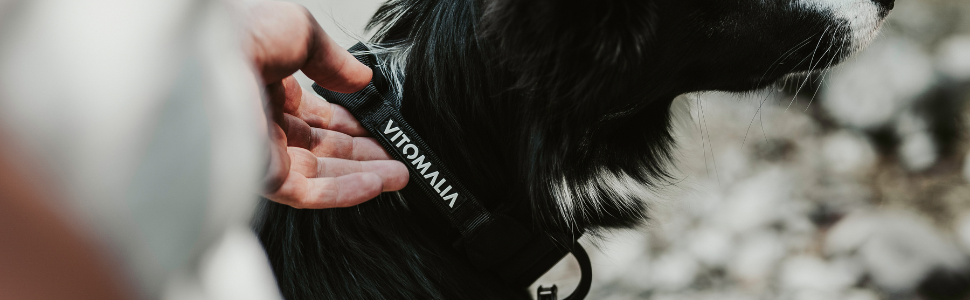 Тактичне нашийник для собак, 5 см: міцний нейлон, магнітна ручка, запобіжна застібка, для великих собак (5 см/L = 45-60 см, Бордовий)