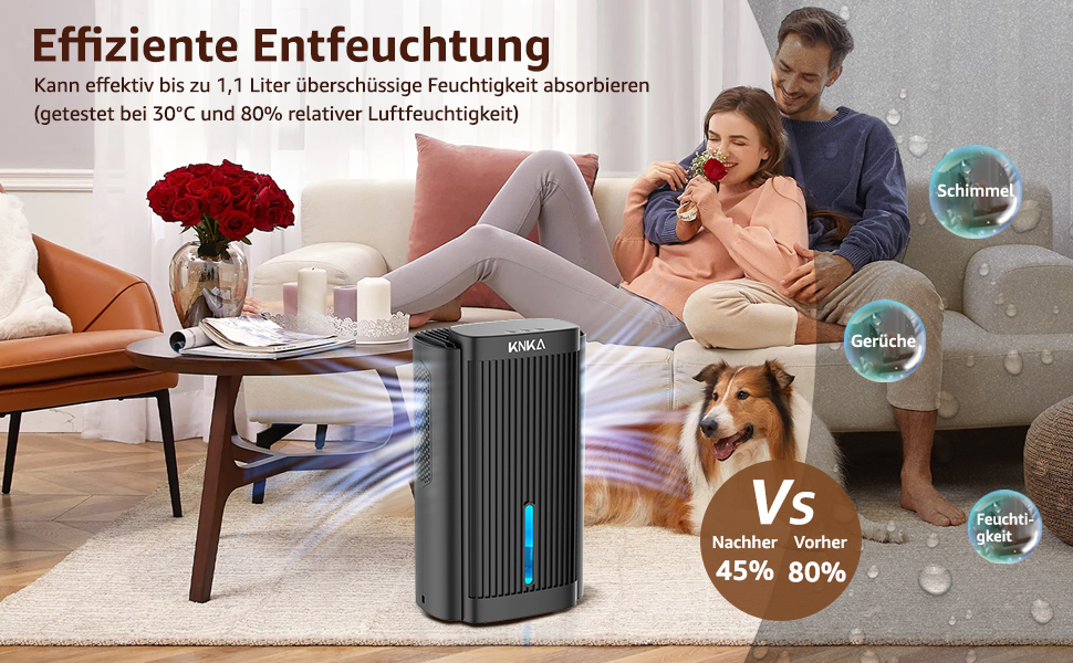 Електричний осушувач повітря KNKA, 1.1 л, для дому, ванної кімнати, підвалу, тихий (28 дБ), з автовимкненням та нічним режимом, кольорове підсвічування (білий), колір: чорний