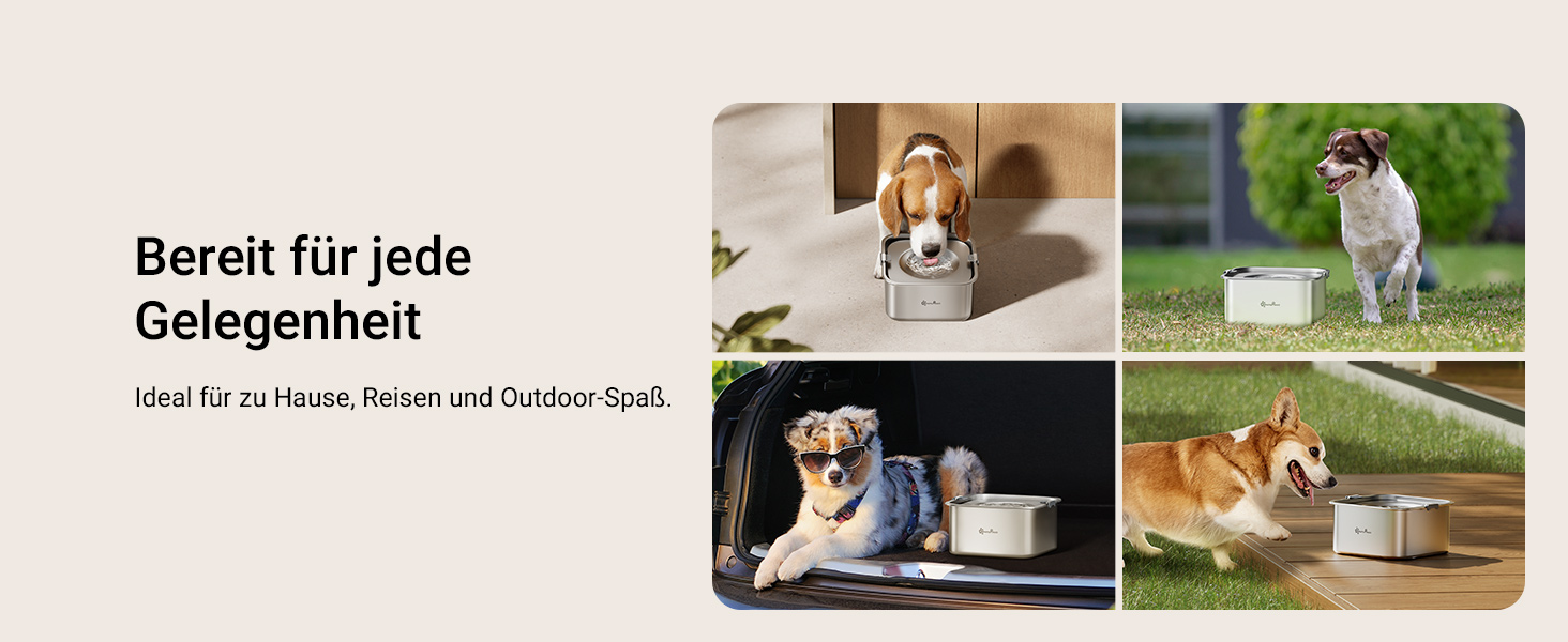 Миска для собак DownyPaws 3L з нержавіючої сталі, анти-розбризкування, чорна, для дому та вулиці