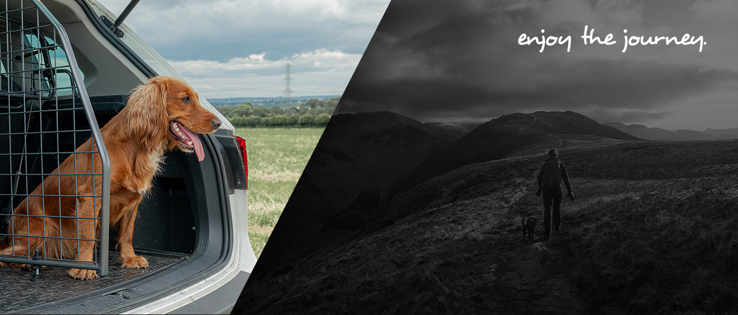 Сітка для собак Travall, сумісна з BMW X1 (2022-тепер), TDG1730 - захист багажника, перегородка для вантажу, сталь з порошковим покриттям