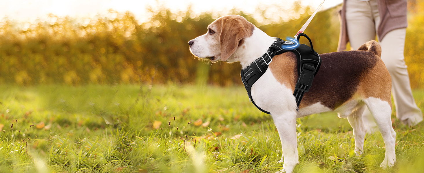 Шлейка для собак середніх розмірів Funfox, анти-тяга, з ручкою та світловідбиваючими смугами, не тягне, чорна, розмір L