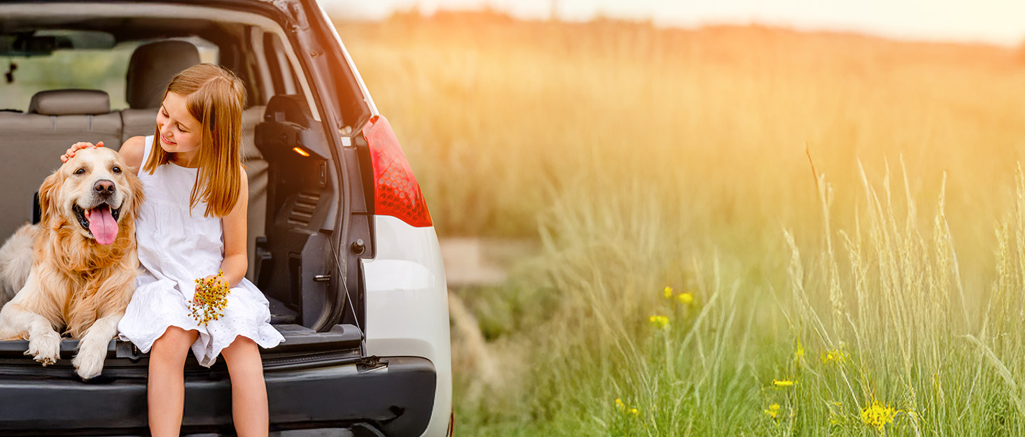 Складана пляшка для води для собак Lesotc 800 мл, блакитний колір, для прогулянок, подорожей та кемпінгу