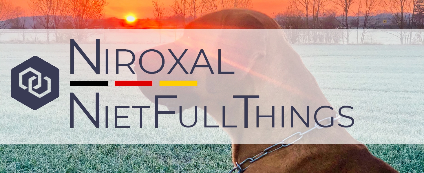 Нашийник для собак з обхватом шиї 49-53 см, нержавіюча сталь V4A, з запобіжником, ланцюговий, 5 мм, довжина 64 см