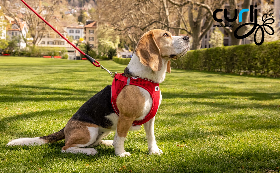 Шлейка для собак Curli Clasp Air-Mesh (Червоний, XS, в смужку)