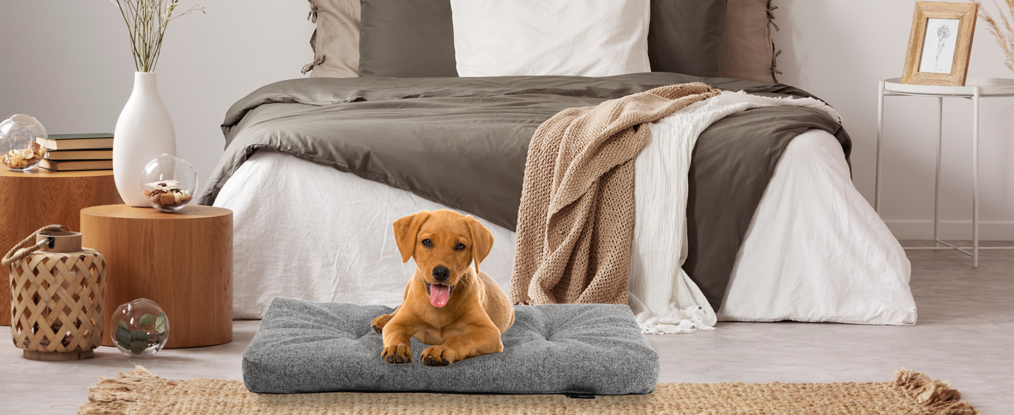 Лежанка для собак Rohrschneider з мискою, 50x80x7 см, бірюзовий | Лежанка для собак та котів, антиковзаюча, міцна, Made in EU