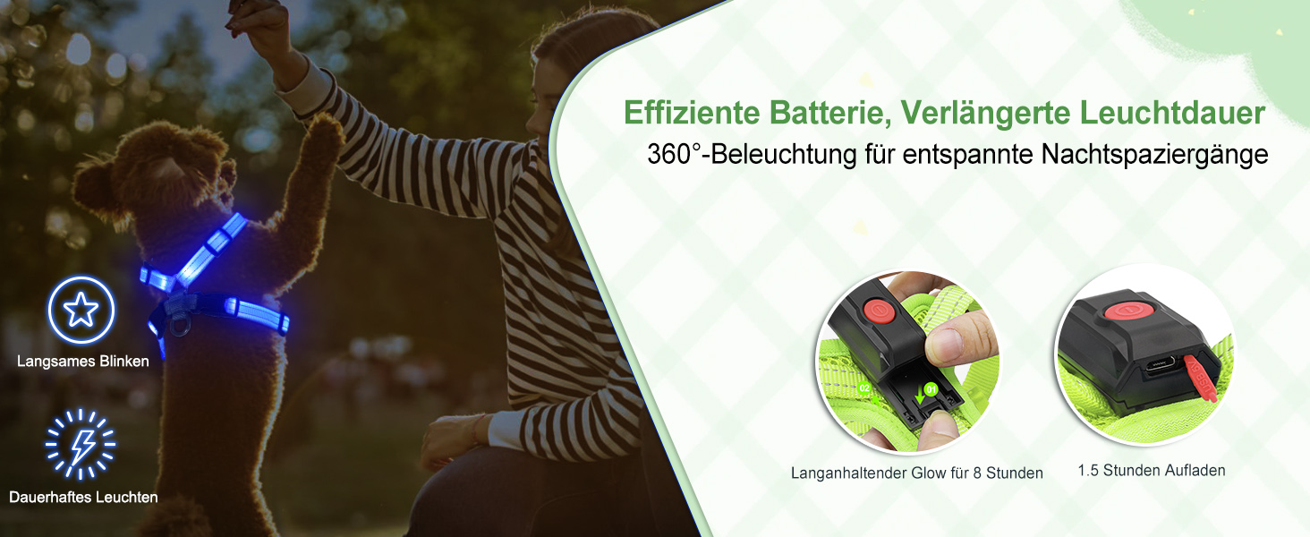 Світловідбиваючий нашийник для собак PZRLit з підзарядкою, для маленьких собак, XS, LED, для безпечних прогулянок вночі - Рожевий