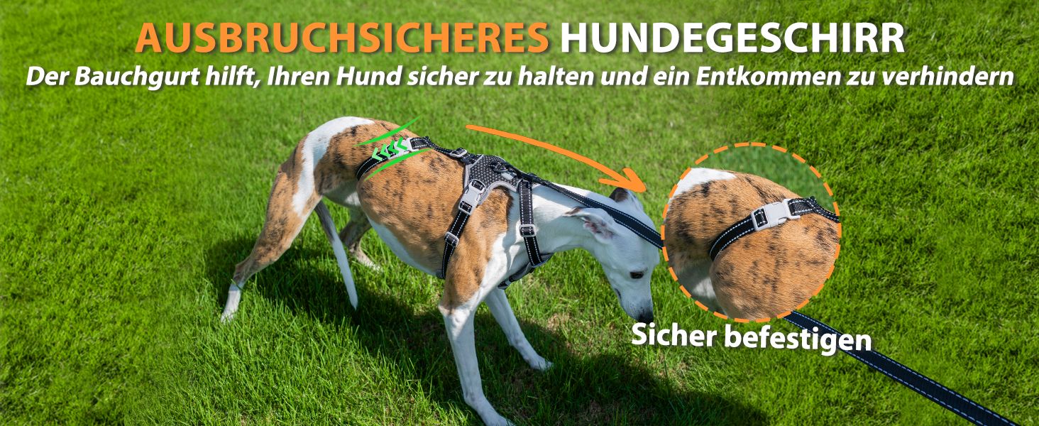 Шлейка для собак Huntboo, анти-витік, для панічних собак, світловідбиваюча, регульована, легка, чорна, розмір S, 1 шт.