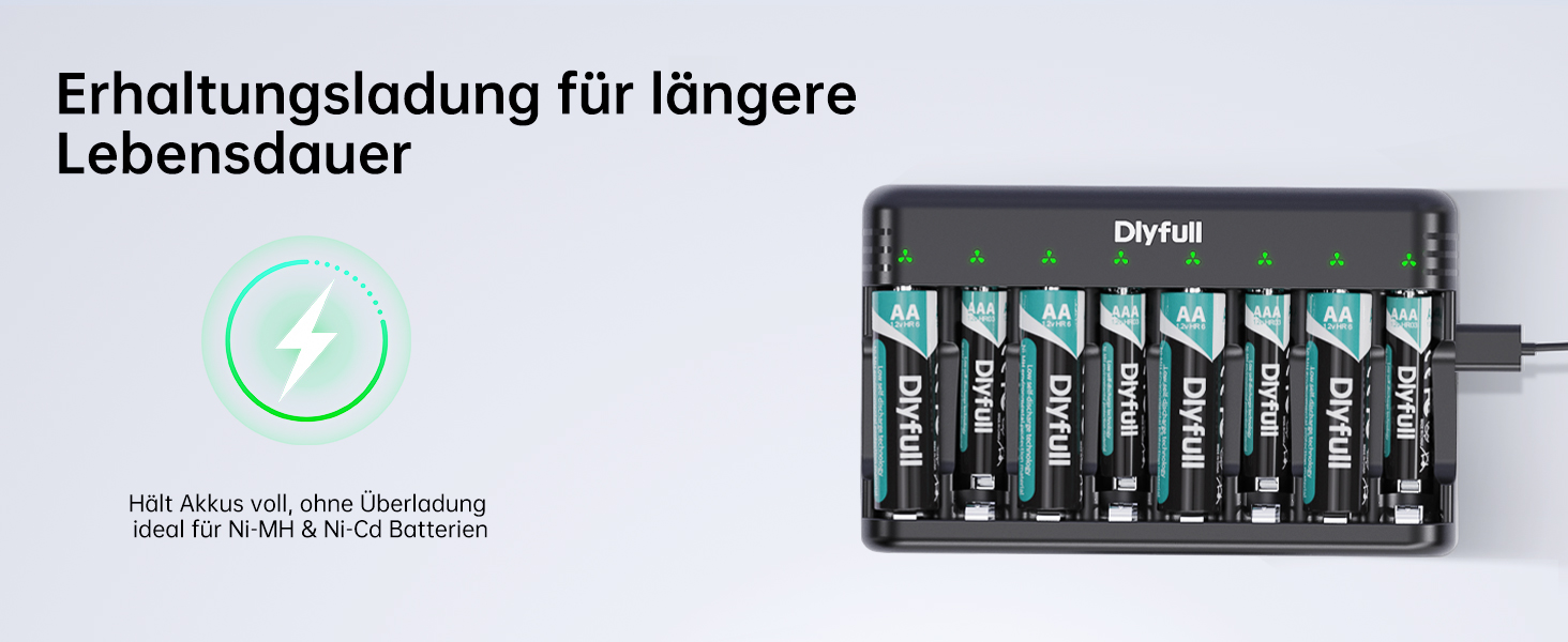 Зарядний пристрій Dlyfull для акумуляторів AAA/AA, 8-канальний зарядний пристрій з LED-дисплеєм, 5V/2A USB-C, для NI-MH/NI-CD, чорний