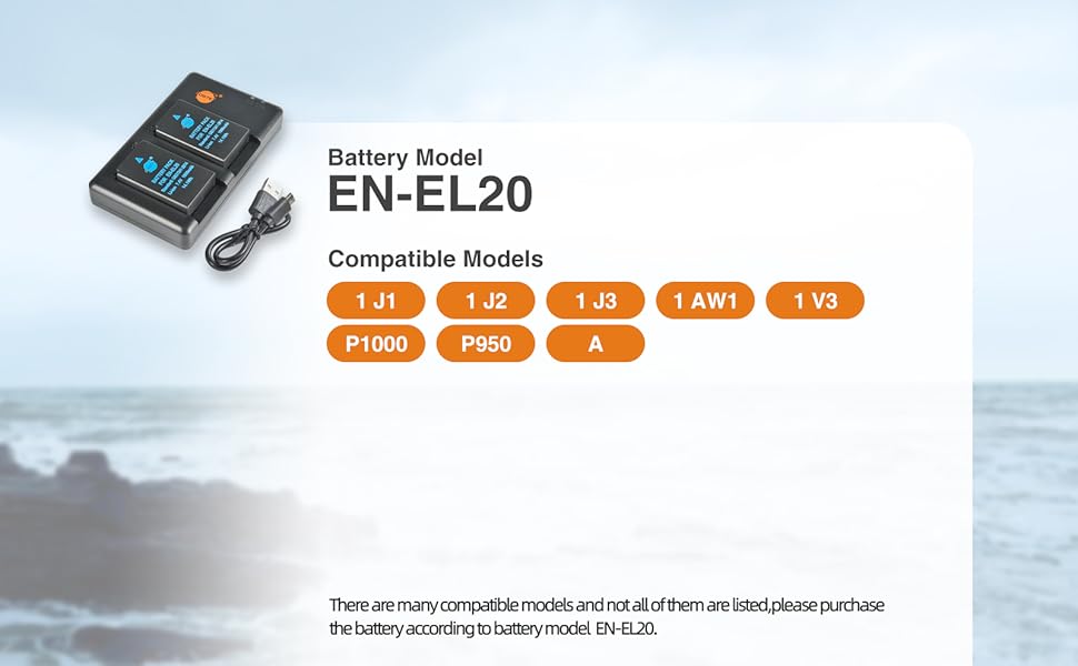 Акумулятори DSTE EN-EL20/EN-EL20a (2 шт.) з подвійним зарядним пристроєм для Nikon Coolpix