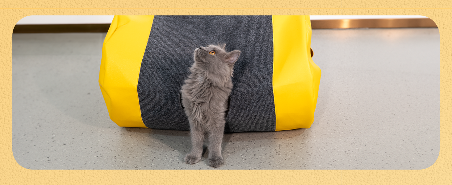 Килимок-іграшка для котів з тунелем та ігровим мішком, інтерактивне заняття для котів, центр активностей, килимок для полювання лапками, інтелектуальна іграшка для котів