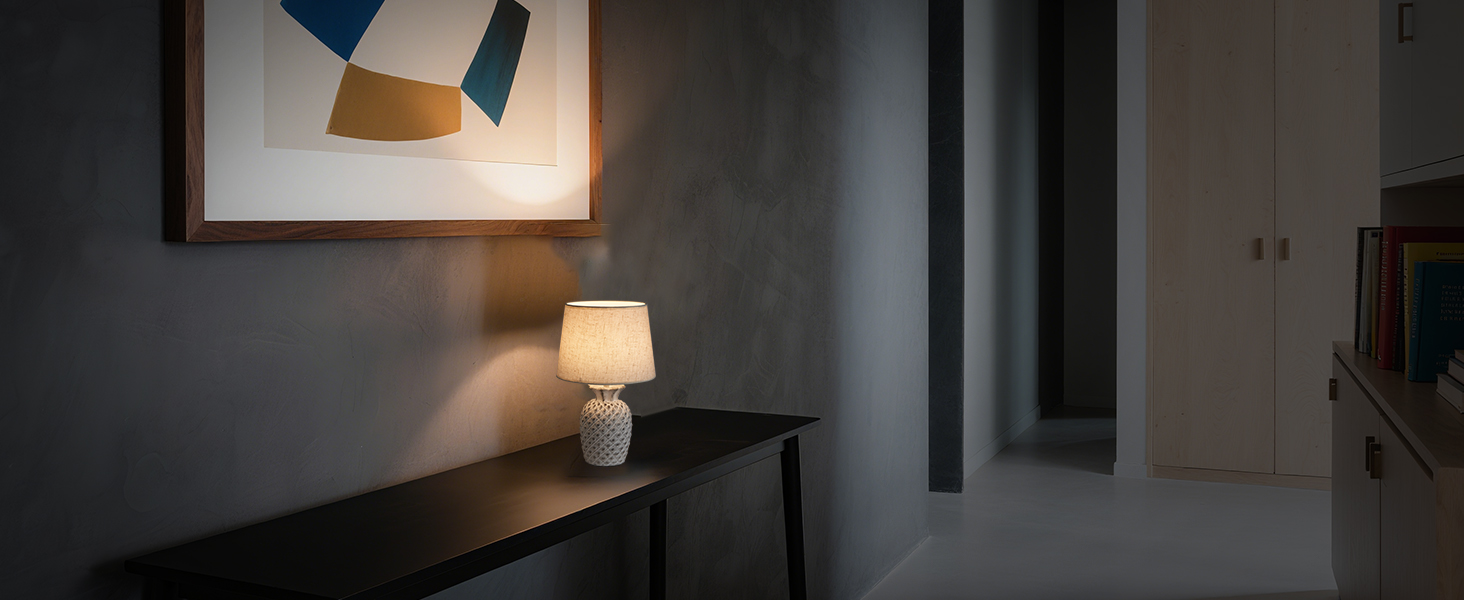 LED-лампа Egobasic на акумуляторі з пультом, таймером та регулюванням яскравості, змінне підсвічування, керамічна основа у вигляді ананаса, для спальні, кухні, вітальні