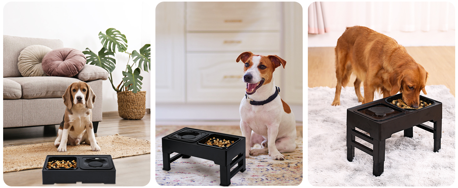 PETTOM Миска для собак, піднята, годівниця для собак з регулюванням висоти, набір з нержавіючої сталі 1,6L*2, миска для води без обливання, станція годування для великих, середніх та маленьких собак (44*26*29см, анти-заковтування)