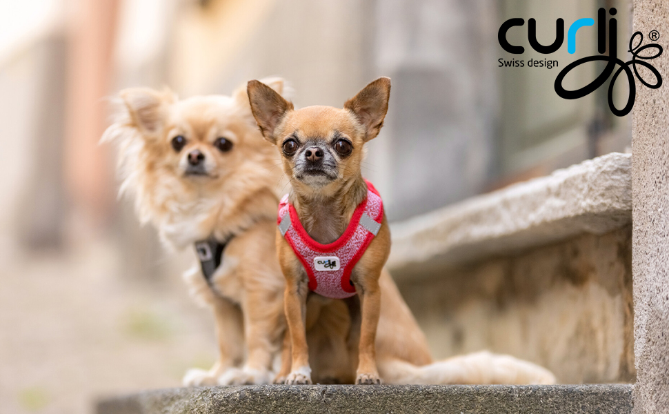 Шлейка для собак Merino curli Clasp чорна L