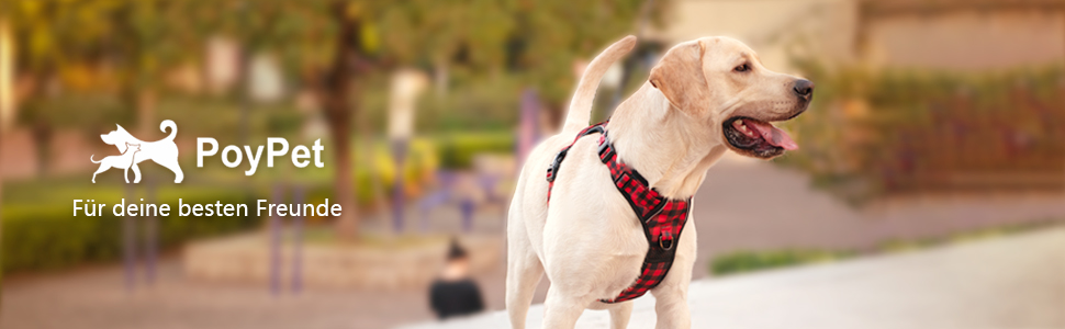 Нашийник для собак PoyPet без обмеження руху, світловідбиваючий, м'який, з простим застібкою, для маленьких собак (M, в клітинку червоний)