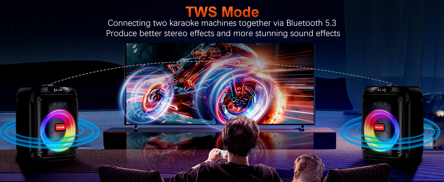 Караоке машина з 2 бездротовими мікрофонами, Bluetooth колонка з RGB-підсвіткою для дорослих/дітей, караоке апарат для дому, вечірок, PA-система, Party Box, Black-2Mic