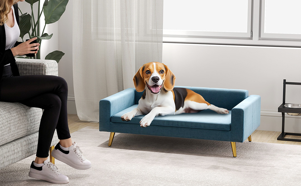 PawHut Софа для собак, лежанка для собак, м'яка з велюру, 94 x 59,5 x 31,5 см, скандинавський дизайн, на ніжках, з подушкою, нержавіюча сталь, блакитна