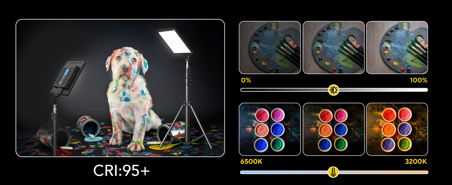 LED відеолампа RALENO з 192 LED, 2 шт. з штативом 180 см, зарядним акумулятором 8000mAh, регулюванням яскравості 0-100%, CRI95 для YouTube, TikTok, фото- та відеозйомки