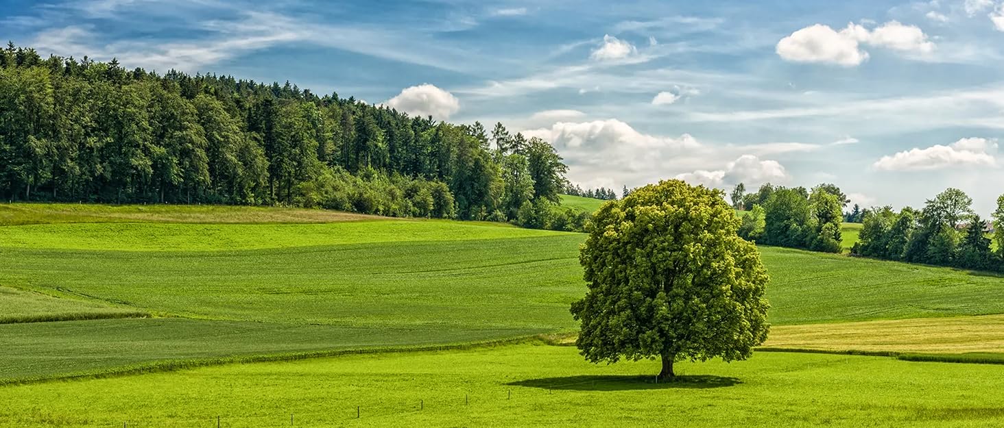 Настінна сушилка для білизни Donken, 80 см, розширювана, для ванної, балкону, тераси, біла