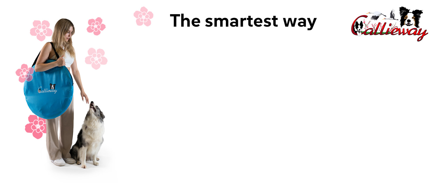 Callieway® ALU DOGBOX - Алюмінієва переноска для собак (XL) 95 x 66 x 70 см