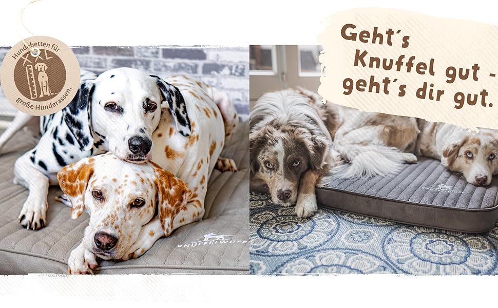 Ортопедичний килимок для собак Knuffelwuff Ellenie з тедді та велюру, 79 x 60 см, сірий - неслизьке дно, легко мити, для великих, середніх та маленьких собак, розмір L 79 x 60 x 10 см