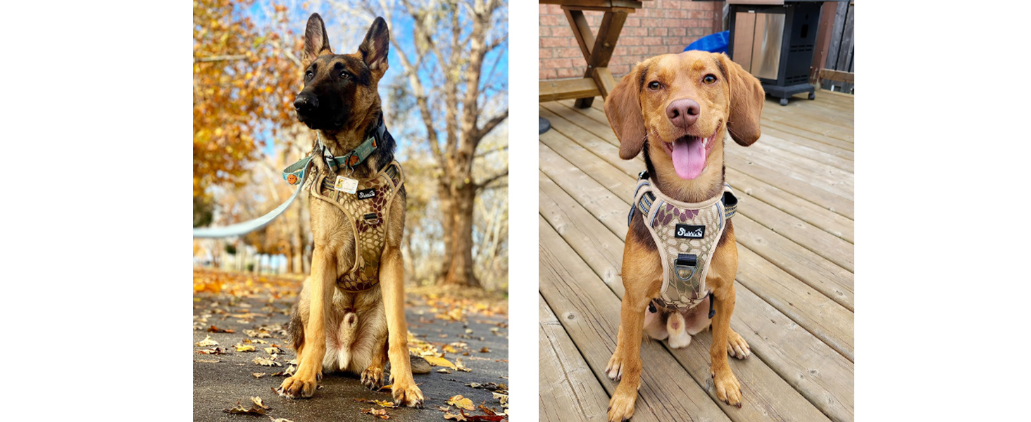 Шлейка для собак великих порід, анти-тяга, з 2 карабінами та зручною ручкою, регульована та світловідбиваюча, з м'якою підкладкою, для щоденних тренувань (Чорний, L) Розмір L (Окружність шиї: 42-60 см, Окружність грудей: 47-86 см) Чорний